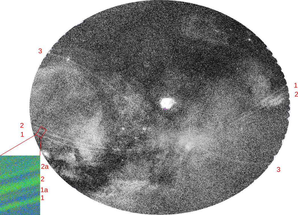 count-rate image of eRASS1 in the 0.2—0.6 keV energy band