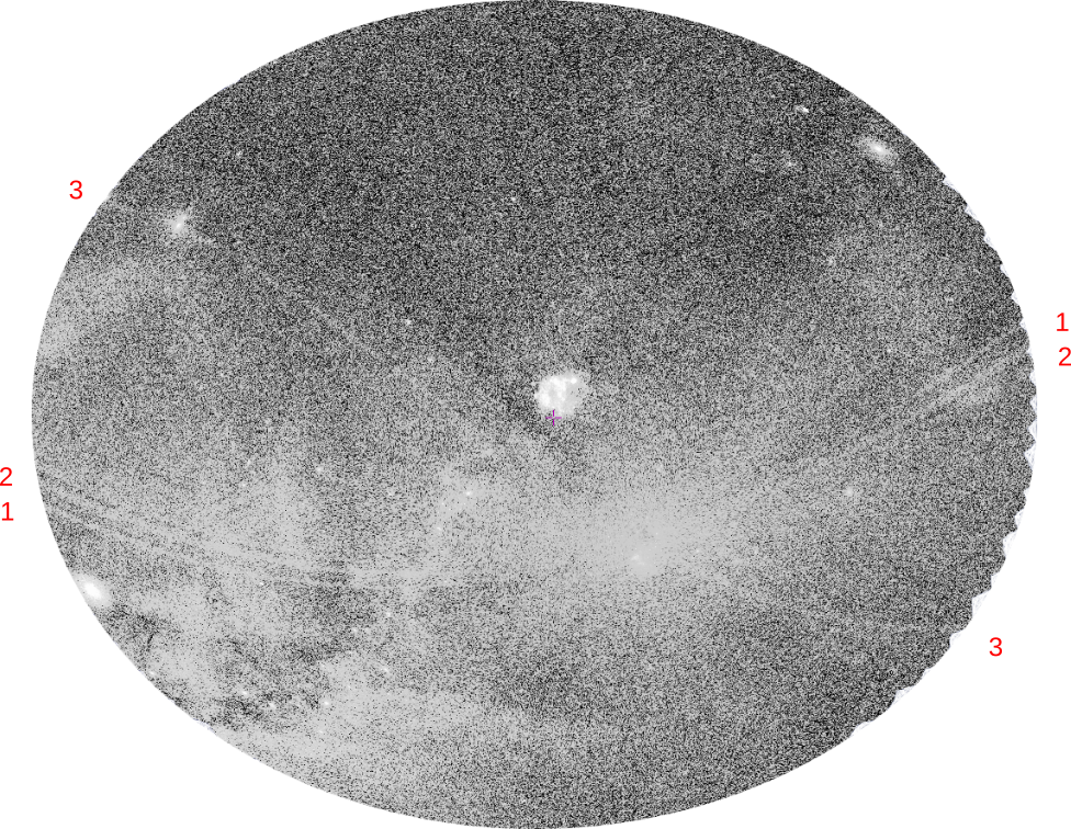 count-rate image of eRASS1 in the 0.6—2.3 keV energy band